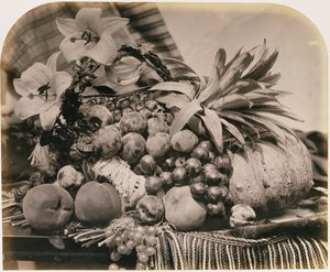 Stilleben med frukt, 1860 (sepia-bilde)
